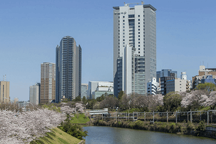 法政大学