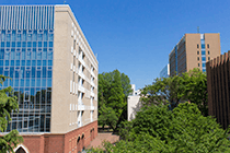 学習院大学