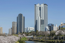 法政大学